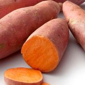 Premium Sweet Potato