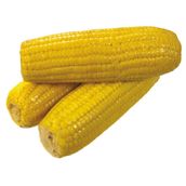 Organic Sugar Corn 3 Grains