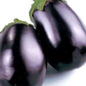 Premium Roumi Eggplant