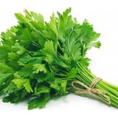 Parsley Vegetables Bunch