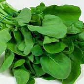 Arugula Vegetables Bunch