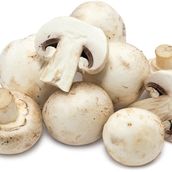 Fresh Mushroom Dish
