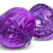 Premium Red Cabbage