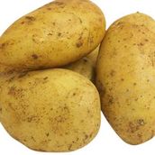 Premium Potatoes