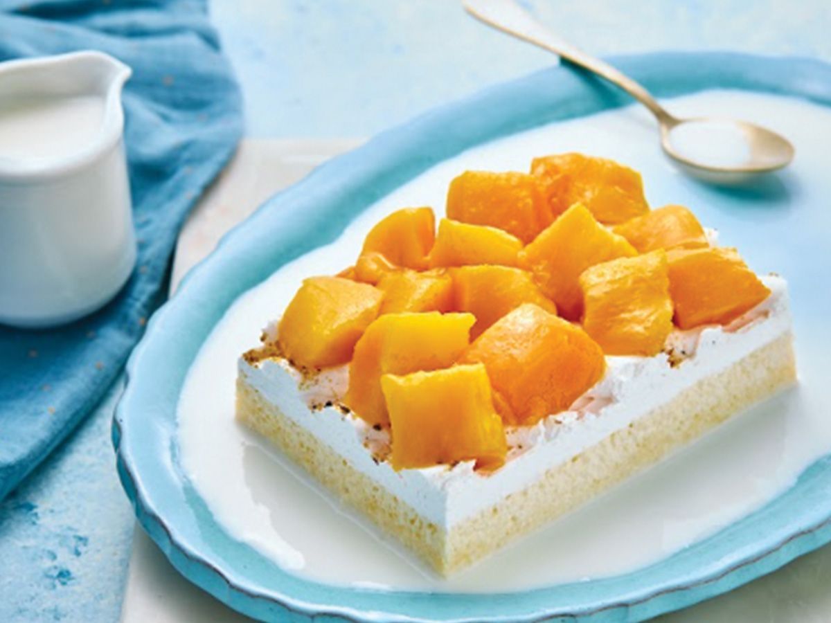 قشطوطة مانجا