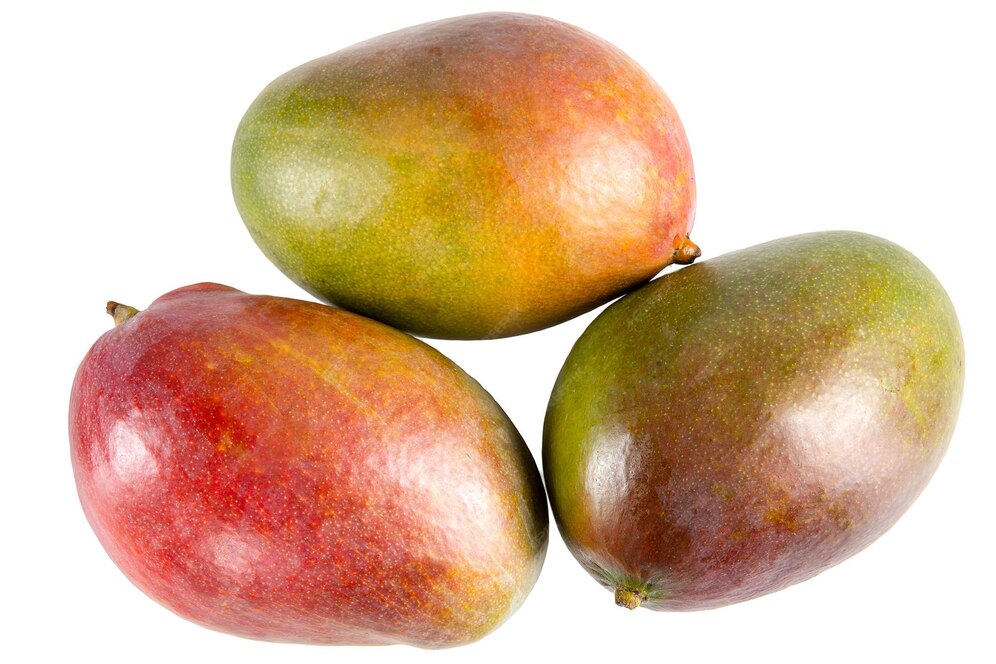 Sadek Mango Ismailawy