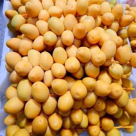 Saudi Barhi Dates