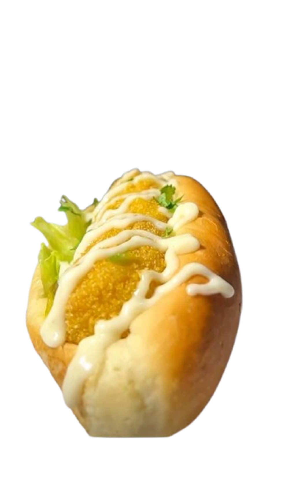 ساندوتش كوردن بلو