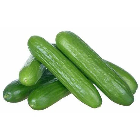Premium Cucumber