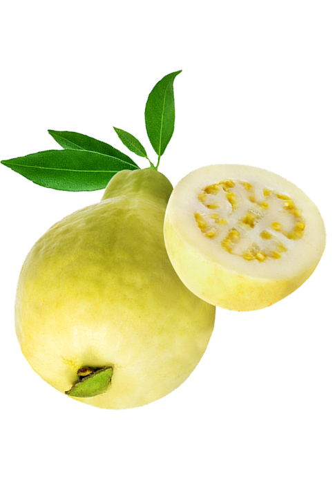 Premium Banati Guava