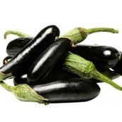 Premium Black Aros Eggplant